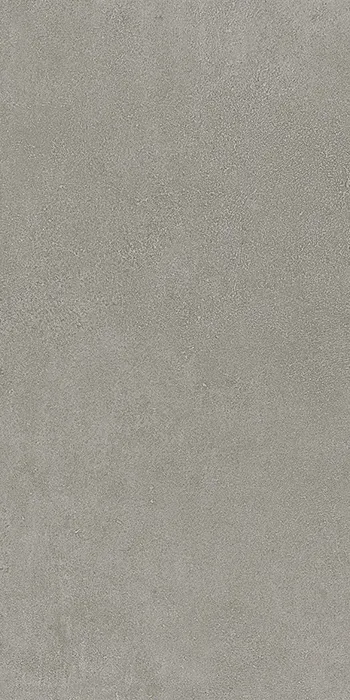 Elementi Terra Polvere 8mm Naturale 30x60